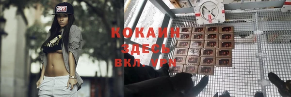 мяу мяу мука Алексин