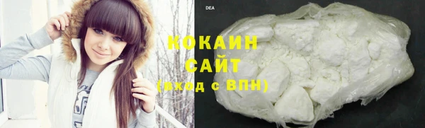 шишки Алзамай
