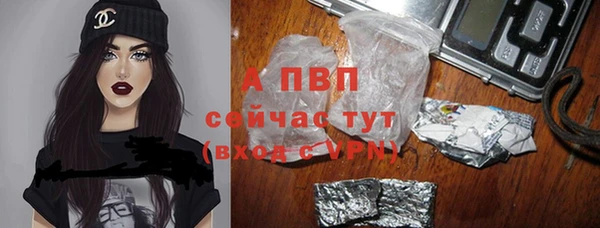 шишки Алзамай
