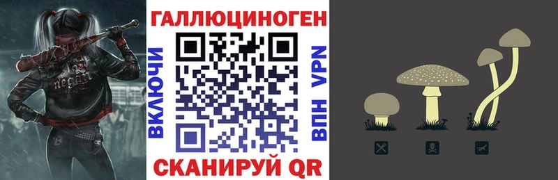 Галлюциногенные грибы Cubensis  Ипатово 