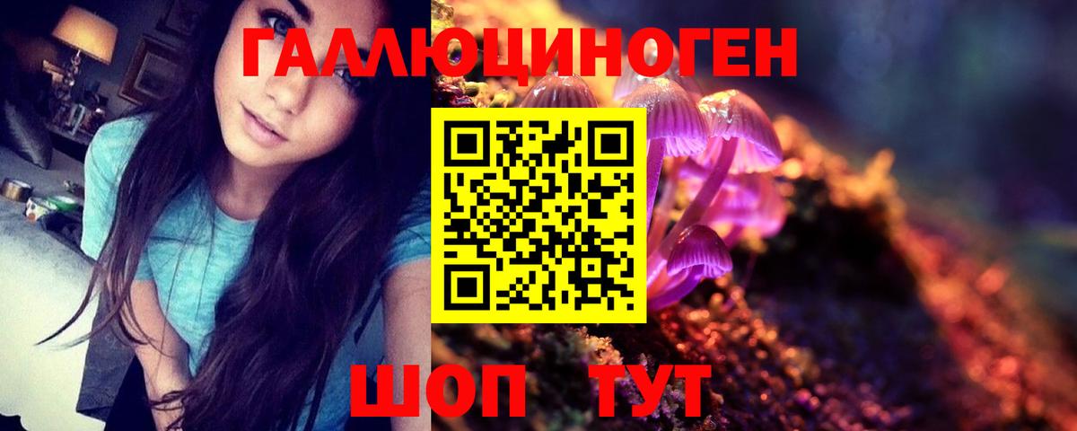 Галлюциногенные грибы мицелий  Вход с VPN  Ипатово 